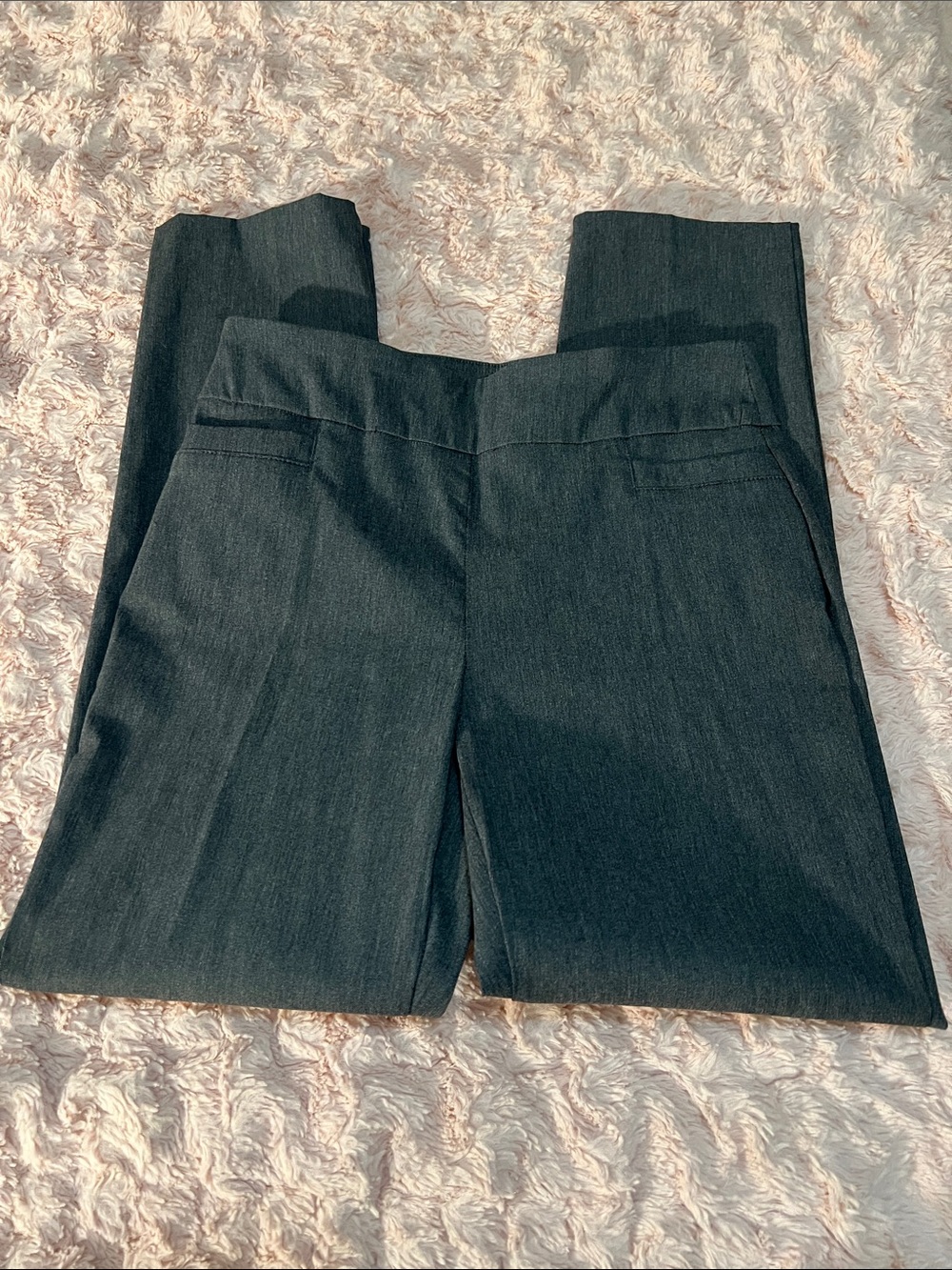 Kim Rogers Charcoal Straight-Leg Dress Trousers Tummy Control 6P Average